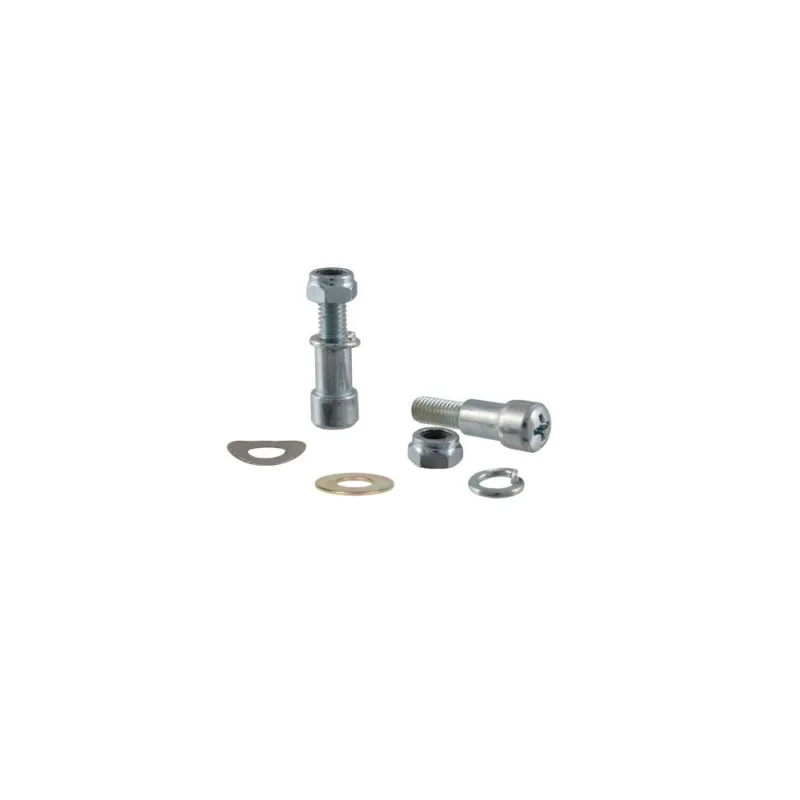 Clutch / rake lever screws RMS 121856119 Expresní Doručení