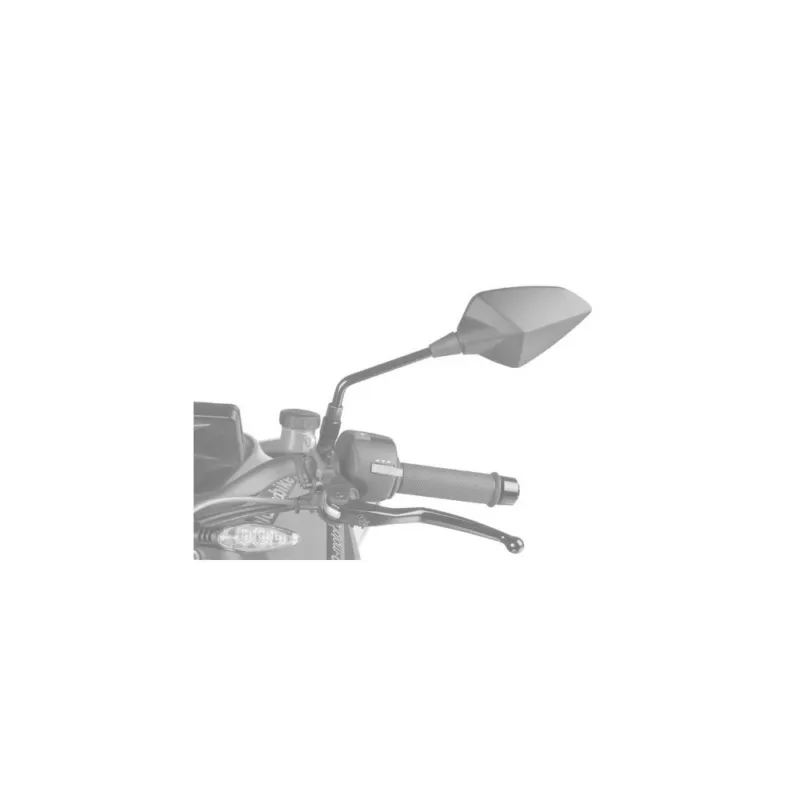 Zpětné zrcátko PUIG RS1 FAIRING FITTING 7344C karbonový vzhled pravý Aktuální
